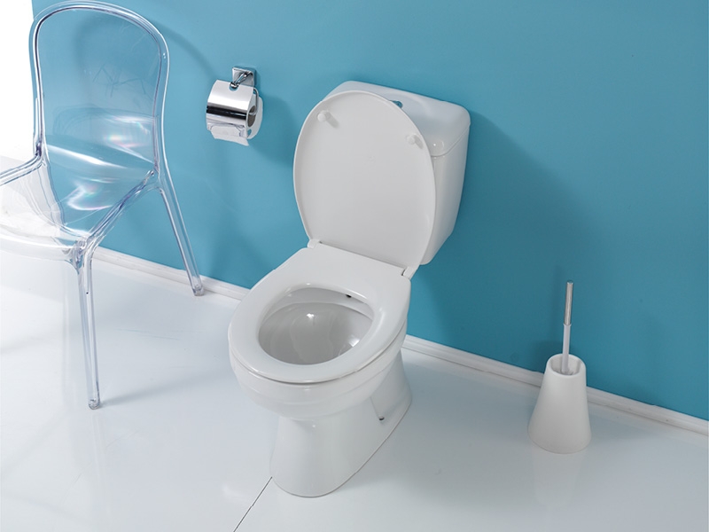 Cuvette lila